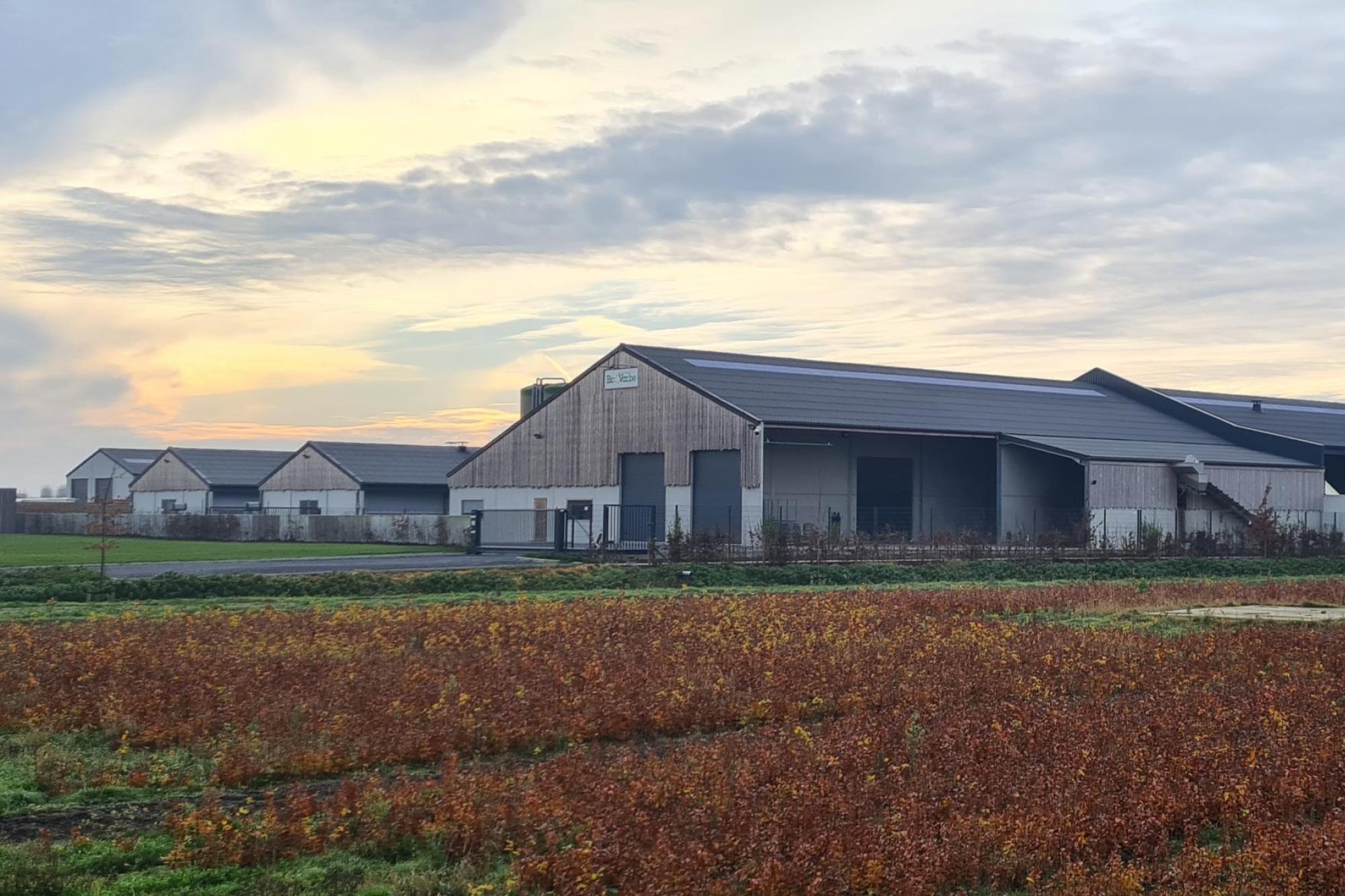 Bedrijfsgebouw BioVar.be te Ruiselede